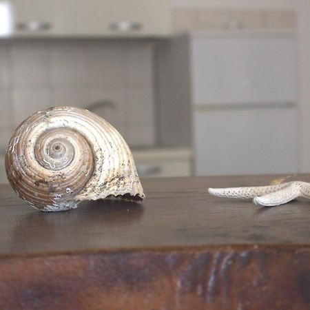Appartement Lido Dei Miracoli à Lido Conchiglia Extérieur photo
